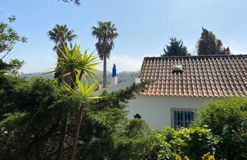 Zambujal de Baixo House | À-do-Zé-Velho