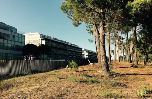 Isla de Arosa Apartment | Ático en una isla. Playa y piscina.