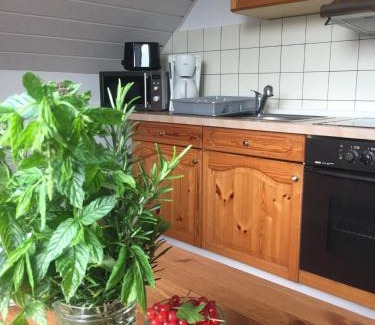 Bachenbrock Apartment | Äpfel und Elbe