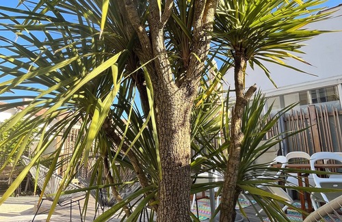 La Flotte Apartment | île de Ré Gîte-appart 2/4 Pers Confort & Design , Patio-terrasse , Parking Free