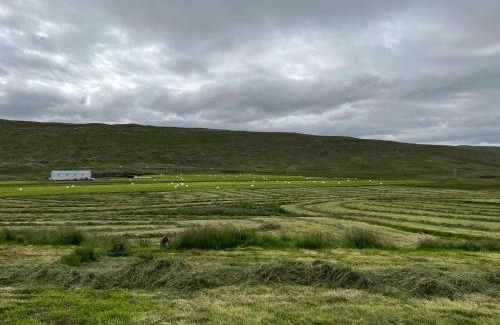 Stadur Villa | Óspaksstaðir- New Renovated Farm in Hrútafjörður