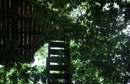 Lempzours House | Ô Bois Dormant