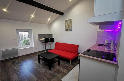 Chasse-sur-Rhone Apartment | Ô bon temps- Suite bien être