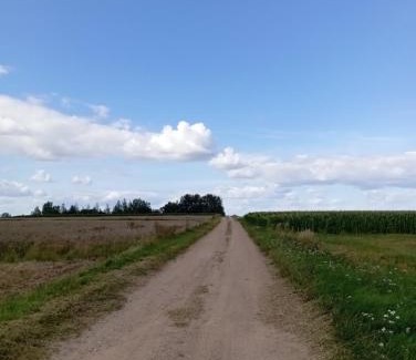 Hajnowka Other | ŁĄKA NA WYŁĄCZNOŚĆ NA PODLASKIEJ WSI HAJNÓWKA BIAŁOWIEŻA namiot, biwak, kemping