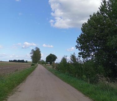 Hajnowka Other | ŁĄKA NA WYŁĄCZNOŚĆ NA PODLASKIEJ WSI HAJNÓWKA BIAŁOWIEŻA namiot, biwak, kemping