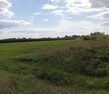 Hajnowka Other | ŁĄKA NA WYŁĄCZNOŚĆ NA PODLASKIEJ WSI HAJNÓWKA BIAŁOWIEŻA namiot, biwak, kemping