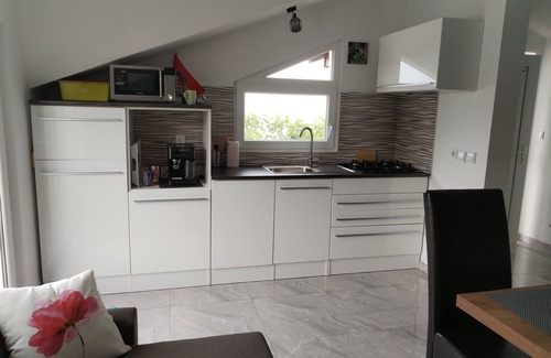 Pavicini Apartment | Šarmantno stanovanje sa krasnim pogledom na more i prelijepa zelena Istra.