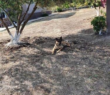 Polichnitos Villa | Ήσυχη μονοκατοικία κοντά στη θάλασσα!