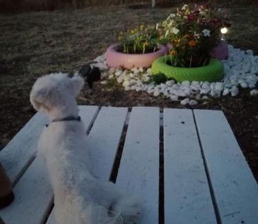 Polichnitos Villa | Ήσυχη μονοκατοικία κοντά στη θάλασσα!