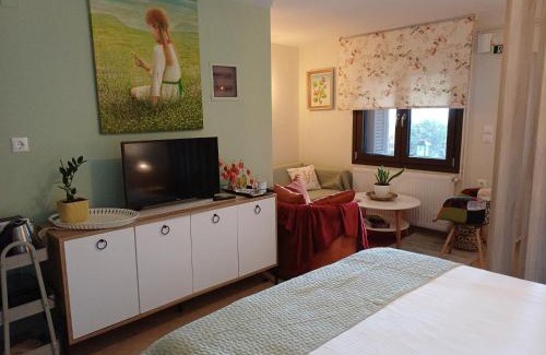 Karpenisi Apartment | Το Σπίτι Της Ευτυχίας στούντιο