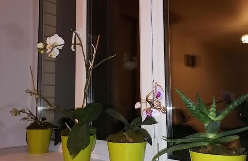 Bogdanikha Apartment | Апартаменты ЖК Олимпийский