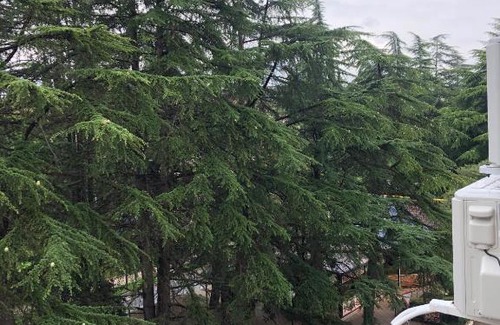 Adler City Centre Apartment | Апартаменты на Куйбышева