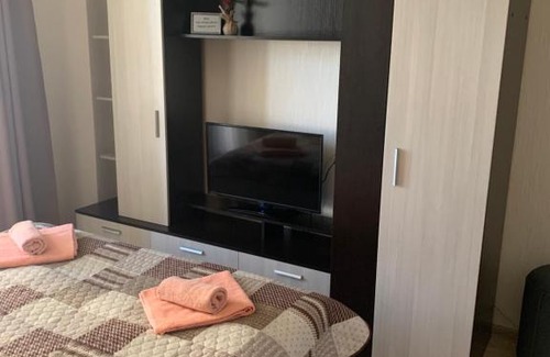 Zvezdnoe Apartment | Апартаменты на Пулковском