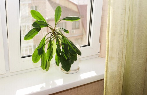 Rostov-on-Don Apartment | Апартаменты Северный СЖМ