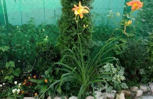 Kislovodsk Apartment | Апартаменты 5 минут от Галереи!