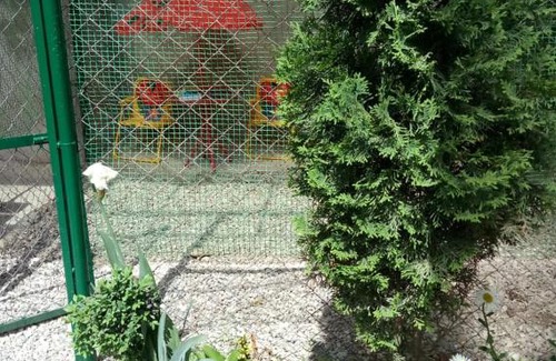 Kislovodsk Apartment | Апартаменты 5 минут от Галереи!