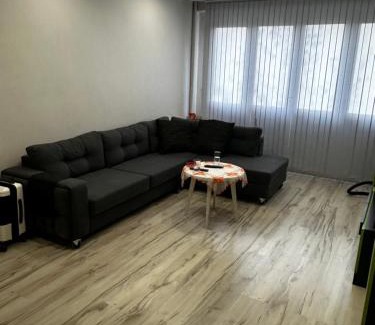 Iskar Apartment | Апартамент Миели