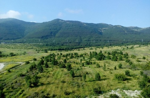 Gelendzhik Apartment | Аппартаменты в элитном комплексе