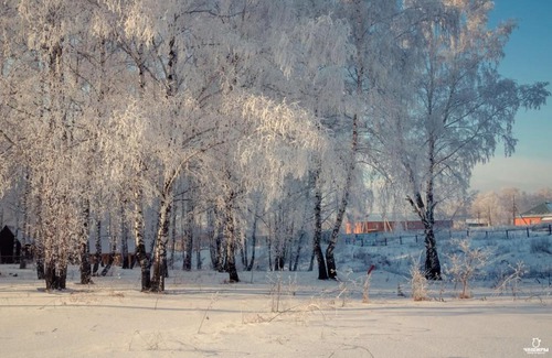 Mencherepskoe Resort | База отдыха Чеширы