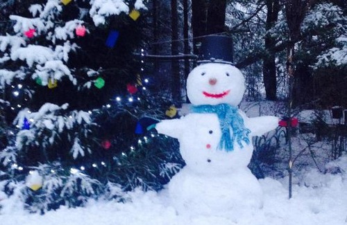 Idritsa House | Гнездо аиста