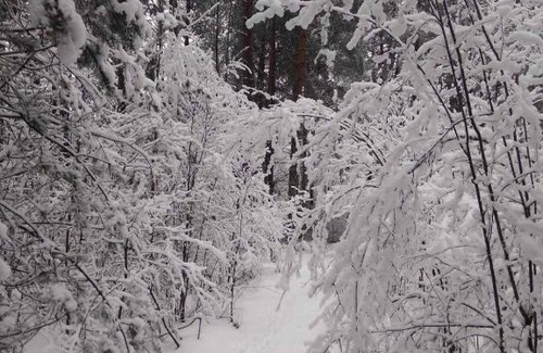 Idritsa House | Гнездо аиста