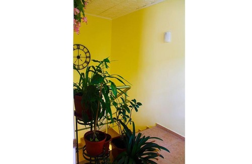 Anapa House | Гостевой дом Анапа РАПСОДИЯ