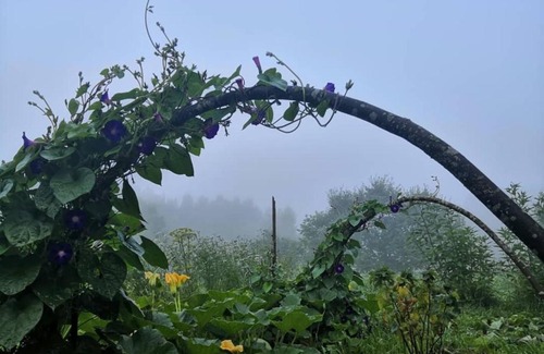 Veleyskaya House | Гостевой дом в Пушкинских Горах