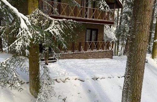 Arkhyz House | Гостевой дом Пилигрим