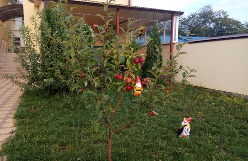 Goryachevodsky House | Гостевой Дом Турист