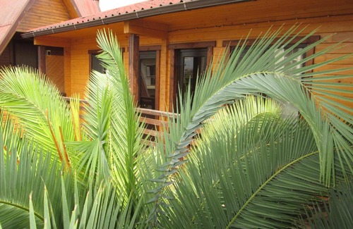 Verkhne-Imeretinskaya Bukhta House | Гостевой дом у Олимпийского парка