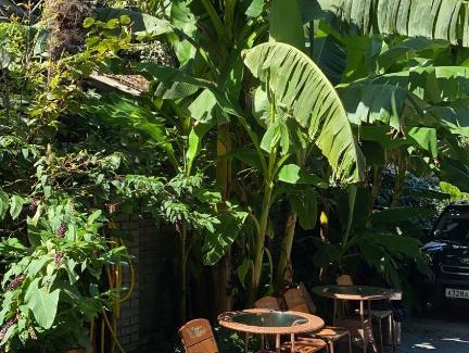 Adler City Centre Hotel | Гостевой дом "У чёрного моря"