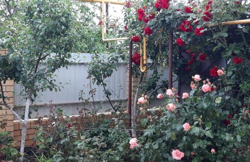 Za Rodinu House | Гостивые домики