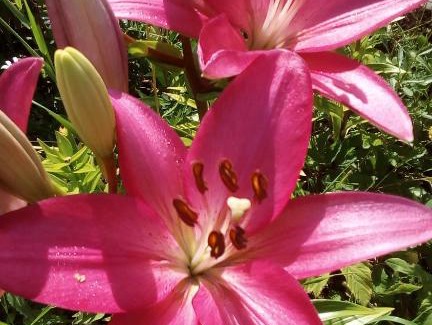 Ogonki House | Дом с сауной