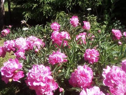 Ogonki House | Дом с сауной