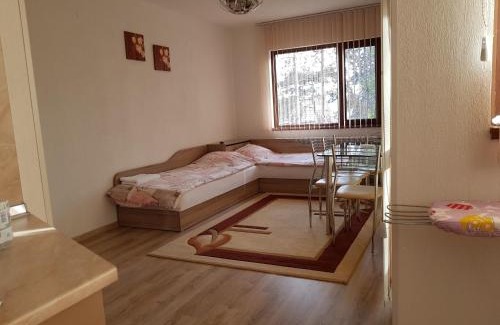 Sandanski Apartment | Д и В 1 - D & V 1 Apartment