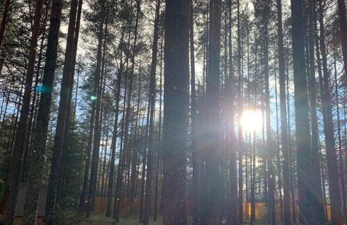 Aleshinskoe House | Загородный комплекс ЛЕС и РЕКА