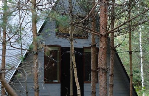 Nerl' House | Избушка в лесу