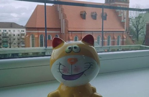 Kaliningrad Apartment | История из окна