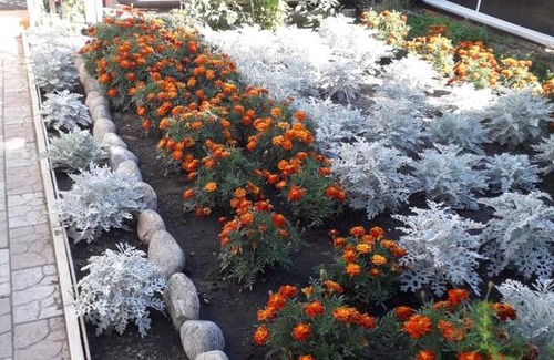 Severobaykalsk House | Меблированные номера в Байкальской жемчужинке