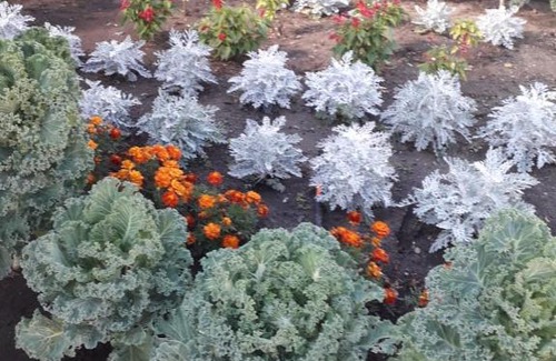 Severobaykalsk House | Меблированные номера в Байкальской жемчужинке