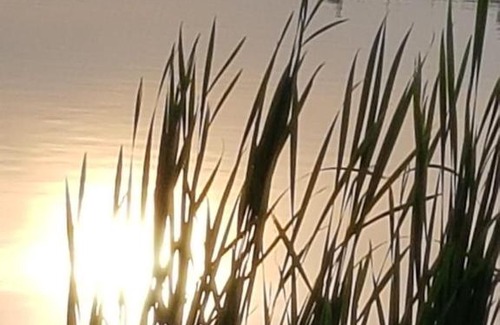 Bronnitsy Hotel | Ресторанно-гостиничный комплекс “Golden Horse”