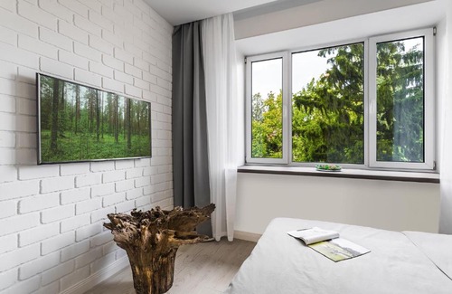 Nizhniy Novgorod City Centre Apartment | СЕКВОЙЯ на белинского APTapart