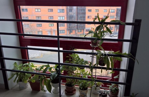 Petrozavodsk Apartment | Студия на Варкауса