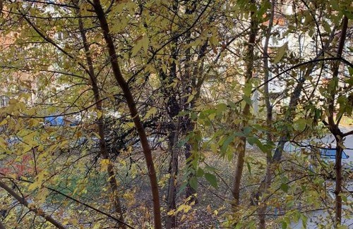 Sovetskiy Apartment | Уютные апартаменты в центре Академгородка на Морском