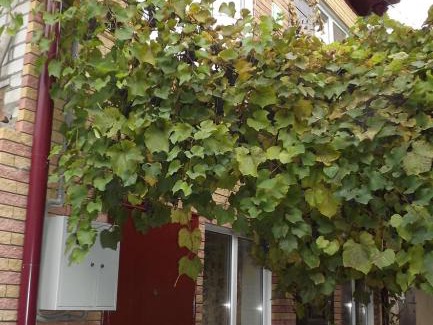 Kislovodsk Apartment | У реки 2