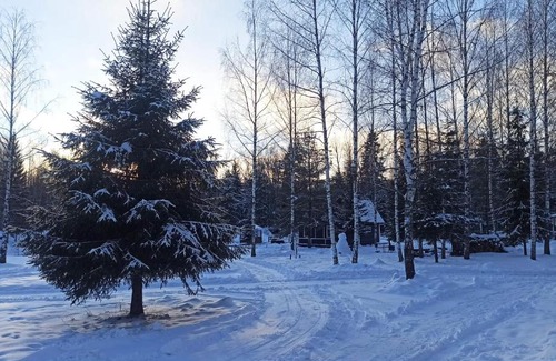 Myatlevo House | Ферма в лесу "Хутор Дубки"