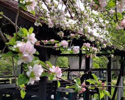 Dahovskoe House | Хамышинские Дачи