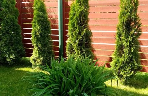 Veliky Novgorod House | Эврика! Апартаменты с сауной в частном доме