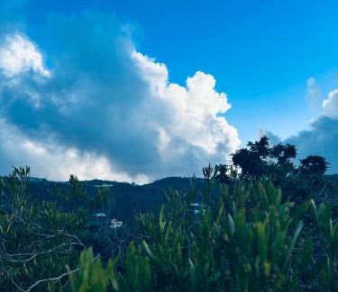 Abha Ski Chalet | استراحة ديم