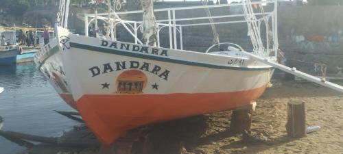 Aswan Boat Rental | دندرة بوت